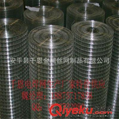 【誠信廠家供應】大絲電焊網 圈玉米的網 通風透氣-安平縣千恩金屬絲網制品提供【誠信廠家供應】大絲電焊網 圈玉米的網 通風透氣的相關介紹、產品、服務、圖片、價格安平縣千恩金屬絲網制品、護欄網;鋼格板;鋼板網;石籠網;荷蘭網;美格網;沖孔網;隔離柵;塑料網;不銹鋼網;防風抑塵網;聲屏障;刀片刺繩;過濾網;電焊網;土工格柵;金剛網;軋花網;勾花網;防護網