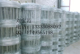 牛欄網(wǎng) 草原網(wǎng) 畜牧業(yè)圍欄 養(yǎng)殖防護(hù)網(wǎng)價格及規(guī)格型號